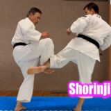 A 65-year-old man’s skills give hope for your future ( Shorinji Kempo / Hiromu Inoue sensei)