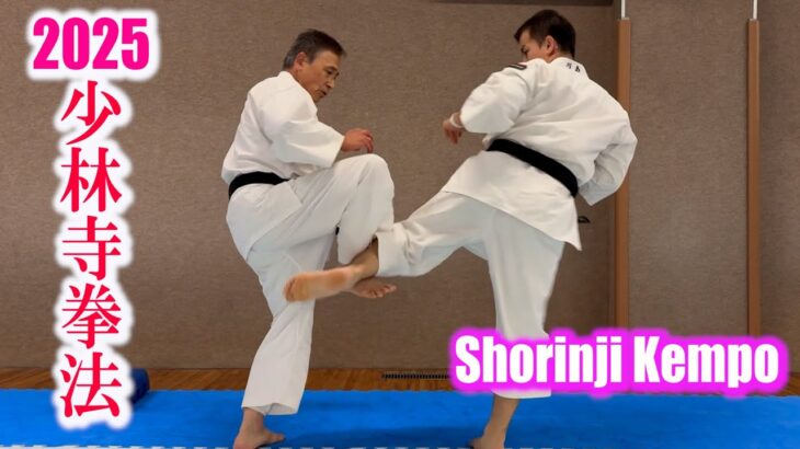A 65-year-old man’s skills give hope for your future ( Shorinji Kempo / Hiromu Inoue sensei)