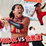 Aikido vs Women’s Pro Wrestling