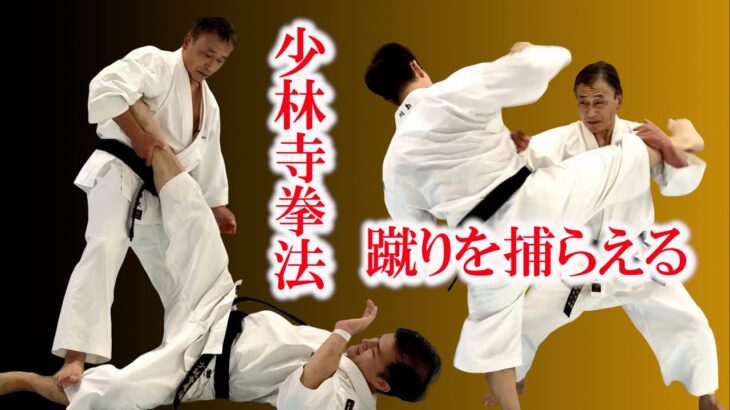 Finish everything while your opponent is kicking / The mindset of Shorinji Kempo