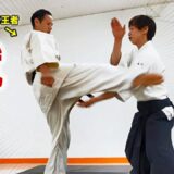 [Karate x Aikido] Aikido techniques against kicking techniques