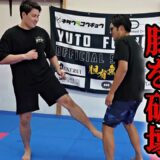 【狙うは膝の破壊】極真世界王者上田幹雄　一撃で破壊するインローキックの蹴り方が深すぎた！【超有料級】