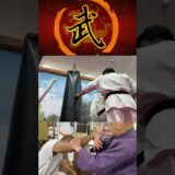 圧倒的なシャドー！！【源氏皇流】の技術で禅道会王者にリベンジマッチ！ #武道 #武術 #総合格闘技#空手