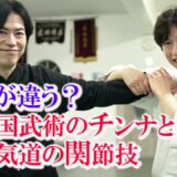 何が違う？中国武術のチンナと合気道の関節技【宮平保が語る】