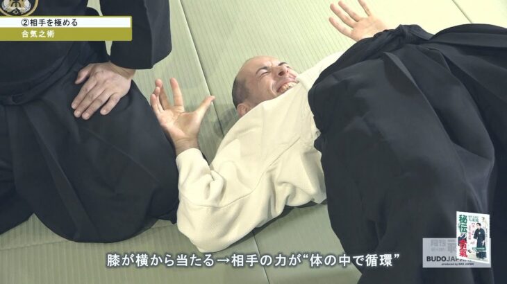 堀川伝大東流 野本禎先生【合気之術…②相手を極める】 Aiki from Kodo HORIKAWA #2　Application and Secret in Aiki #2