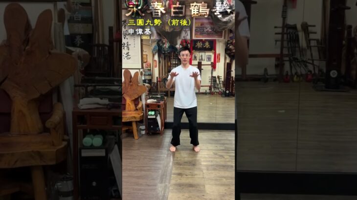 香港・李剛老師一門「漳州伝永春白鶴拳」鍛錬法