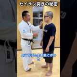 セイサンの型で体を統合していく