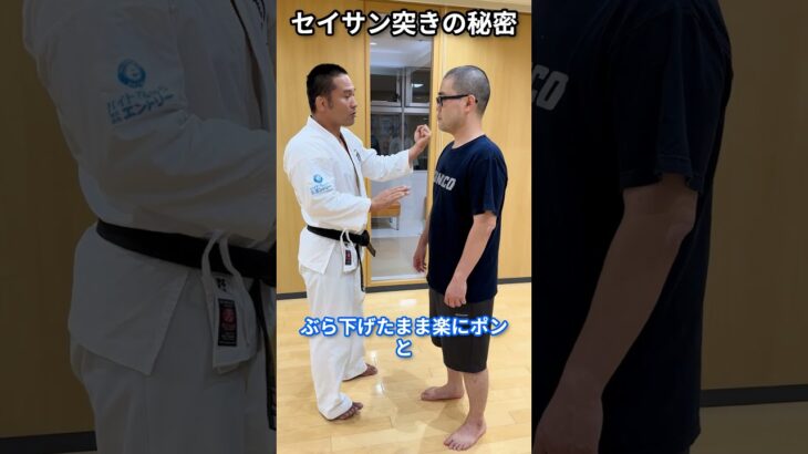 セイサンの型で体を統合していく
