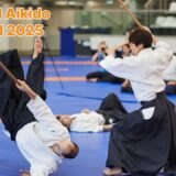 Beautiful Aikido Festival Demonstration 2025 Highlights