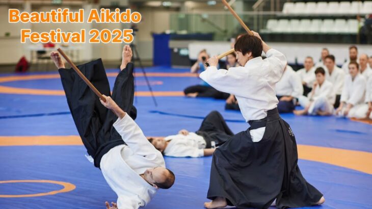 Beautiful Aikido Festival Demonstration 2025 Highlights