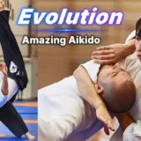[Evolution] Amazing Aikido in Hungary