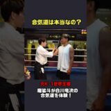 Is Aikido fake? A former kickboxing world champion tries Aikido