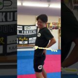 空手家の仁義なき戦い#達人 #ブレイキングダウン #空手#shorts
