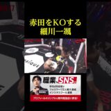 赤田をKOする細川一颯が強すぎる。。。