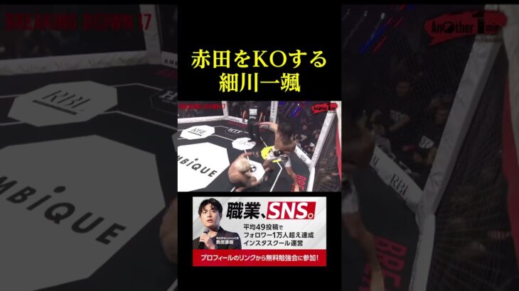 赤田をKOする細川一颯が強すぎる。。。