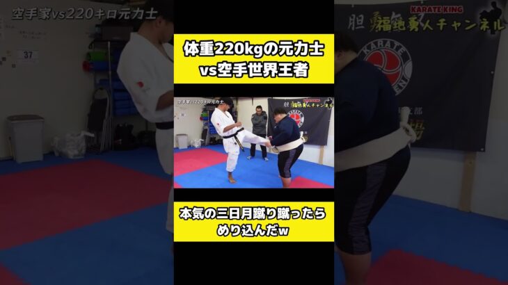 220kgの力士に【本気の三日月蹴り】を蹴った