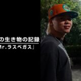 那須川天心の生き物の記録　第26話 『Mr.ラスベガス』