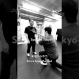末端からの力 #mikhailryabko #systema #mikhailryabko #システマ東京 #システマリャブコ