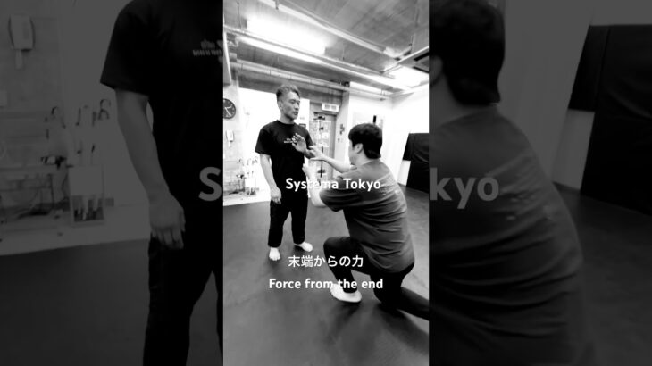 末端からの力 #mikhailryabko #systema #mikhailryabko #システマ東京 #システマリャブコ