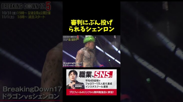 ブン投げられるシェンロン。。。