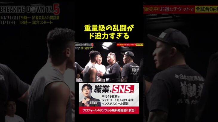 重量級の乱闘が怖すぎる。。。