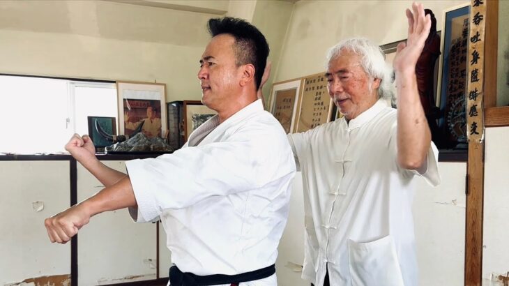 81-Year-Old Karate Master Reveals the Secrets of “Moving Zen” Sanchin!