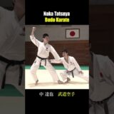 Force Distribution to Left and Right Hands /BUDO KARATE