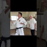 Okinawa Gojyu-ryu Karate, Sanchin