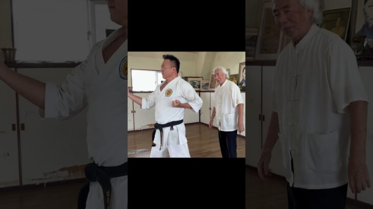 Okinawa Gojyu-ryu Karate, Sanchin