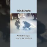 Real-Life Aikido | Recreated by an Aikido Master