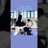 Unbelievable techniques of Aikido master