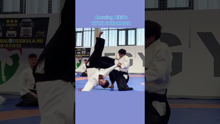 Unbelievable techniques of Aikido master