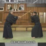 杉野道場【香取神道流と合気道】Traditional Japanese Martial Arts: Katori Shinto-ryu and Aikido from Sugino Dojo