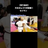 3対1でも押せちゃうセイサン立ち