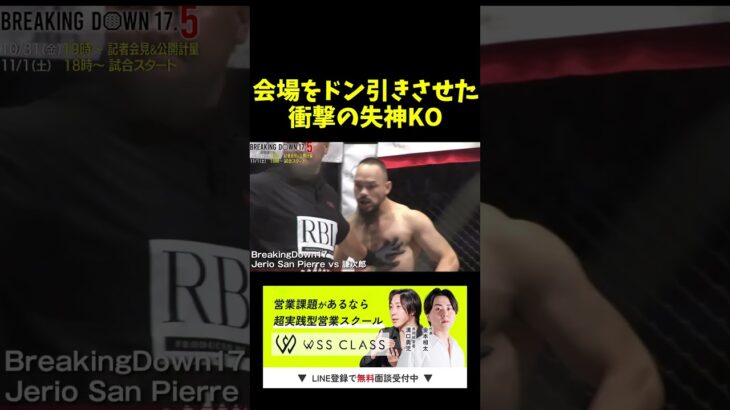 危険すぎる衝撃KOがこちら。。。