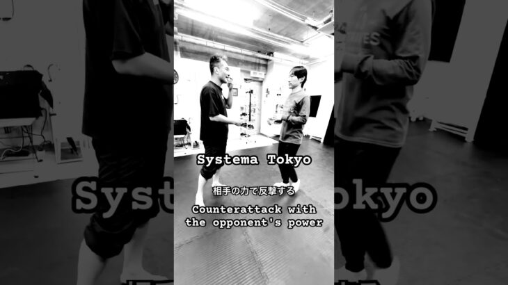 相手の力で反撃する #mikhailryabko #systema #システマリャブコ #システマ東京