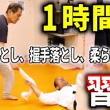 【超有料級】菊野克紀が視聴者の疑問に全力回答！ 武術の技の仕組みを完全解説