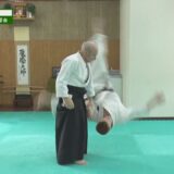 大東流 ゴールドバーグ師範【手首を極めない小手返し】失われつつある合気柔術 Preserve, Protect, and Transmit Daito Ryu by Roy Goldberg #2