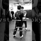 Point of the Systema strike 先端でのストライク #mikhailryabko