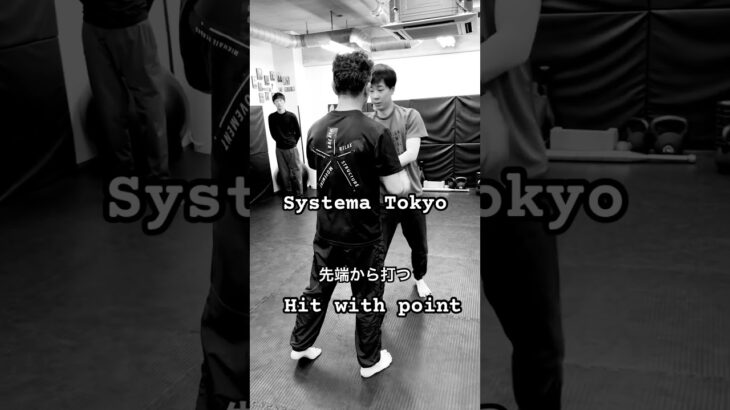 Point of the Systema strike 先端でのストライク #mikhailryabko