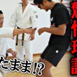 【剛柔流空手の驚愕理論】前代未聞の破壊力の裏には凄まじい理論が隠されていた！
