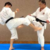 How to Automatically Land a Groin Kick【Shorinji Kempo】