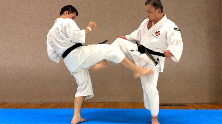 How to Automatically Land a Groin Kick【Shorinji Kempo】
