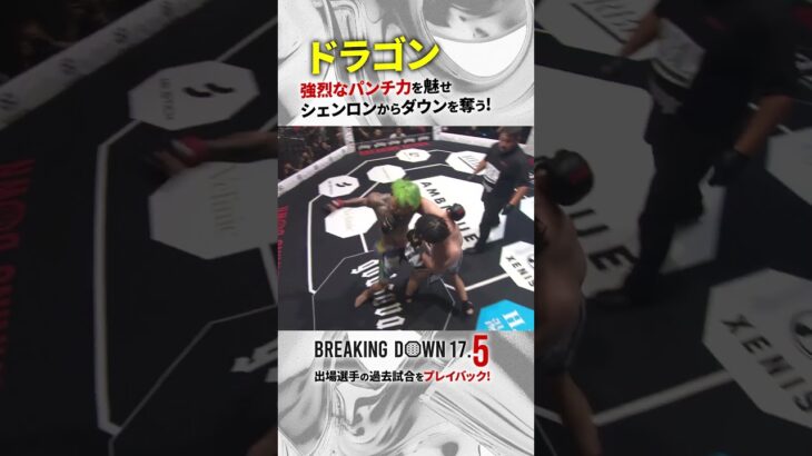 危険すぎる大喧嘩マッチ… ドラゴンvsシェンロン / 試合映像 #shorts #シェンロン #ドラゴン
