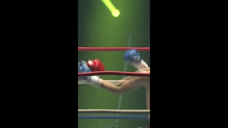 “悩殺の貴公子”ゾーラ・アカピャン フックでKO！||◤K-1 WORLD MAX 2025◢|| 11.15(土)代々木ABEMAで全試合フル動画公開中