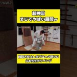 ブロックを叩き割る空手家が凄すぎた