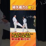 セイサンの型で得られる蹴りの威力【誰ツヨDOJOy】