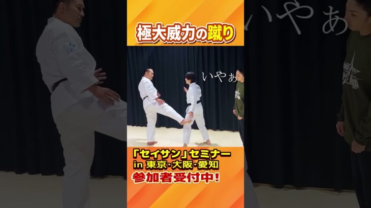 セイサンの型で得られる蹴りの威力【誰ツヨDOJOy】