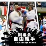 This is Goju-ryu Karate Fight in IKGA 2025!  第8回空手道剛柔会グローバル選手権大会2025  自由組手【開手技・肘当・膝蹴・投技アリ!!】ハイライト映像