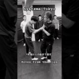 末端からの動きで崩す #mikhailryabko #システマ